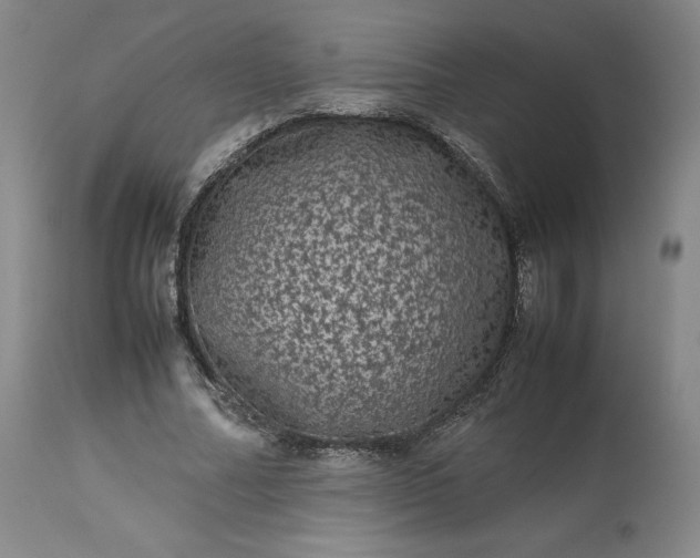 X0000113240682200909241547