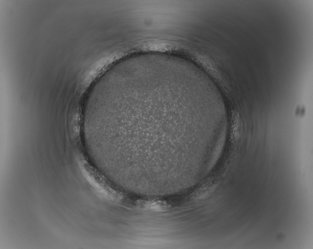 X0000113240683200909241547