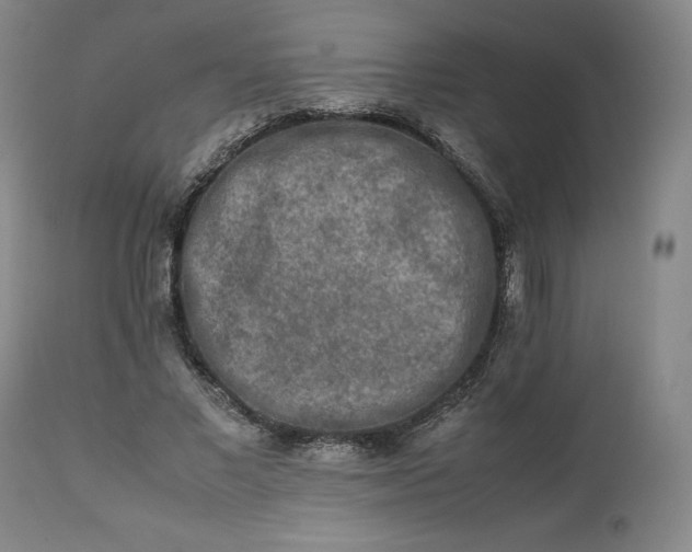 X0000113240685200909241547