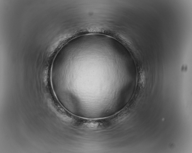 X0000113240687200909241547