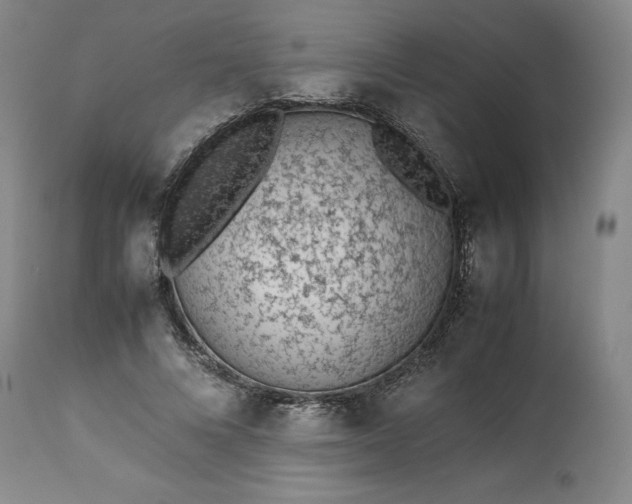 X0000113240688200909241547