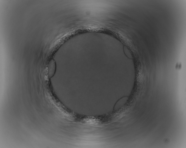 X0000113240689200909241547