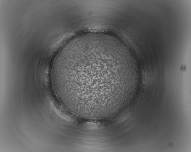 X0000113240690200909241547