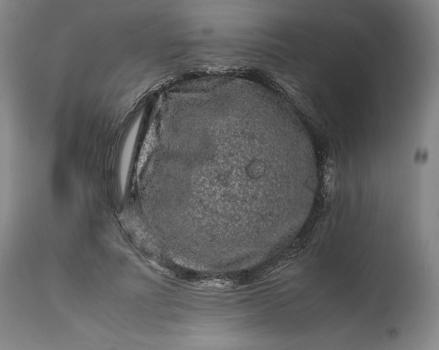 X0000113240691200909241547