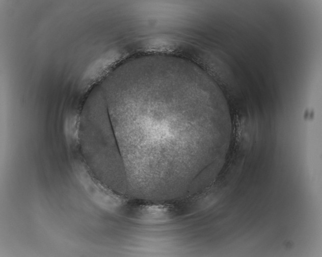 X0000113240692200909241547