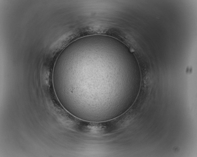 X0000113240693200909241547