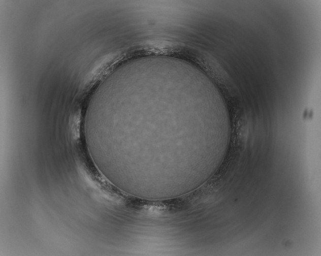 X0000113240694200909241547