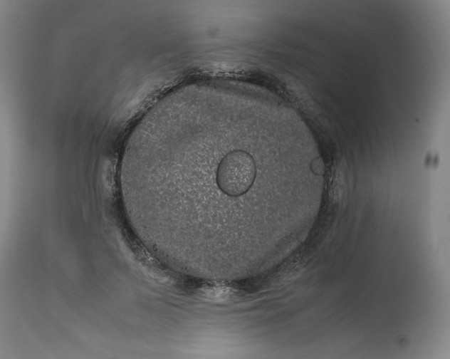 X0000113240695200909241547