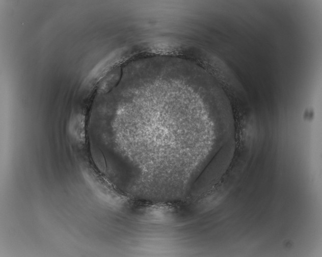 X0000113240696200909241547