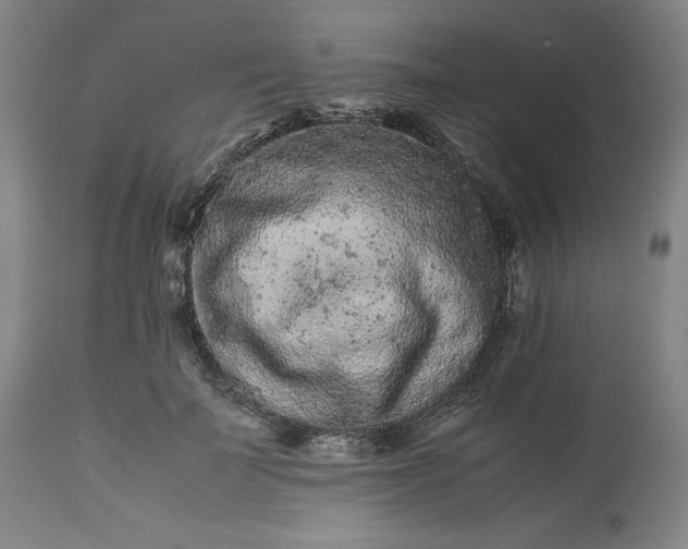 X0000113240699200909241547