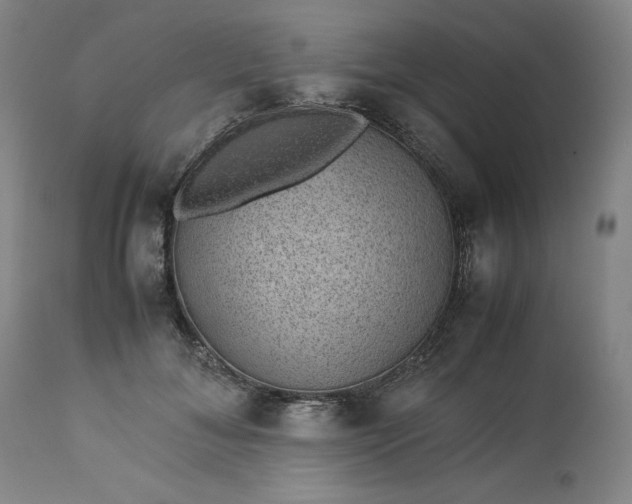 X0000113240700200909241547