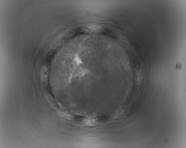 X0000113240701200909241547