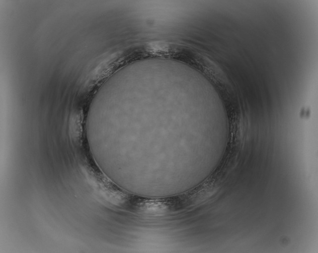 X0000113240702200909241547