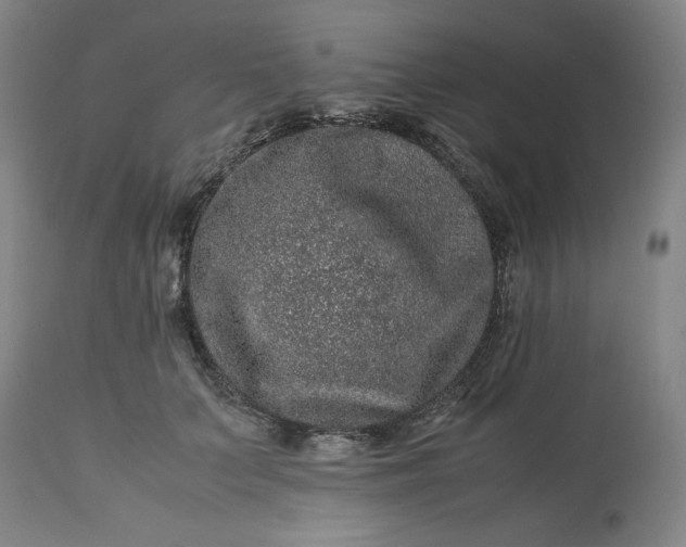 X0000113240703200909241547