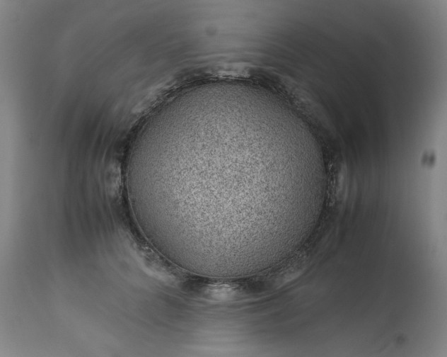 X0000113240704200909241547