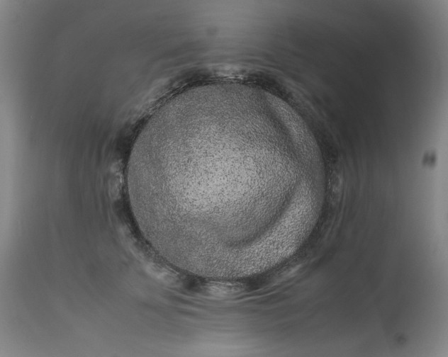 X0000113240707200909241547