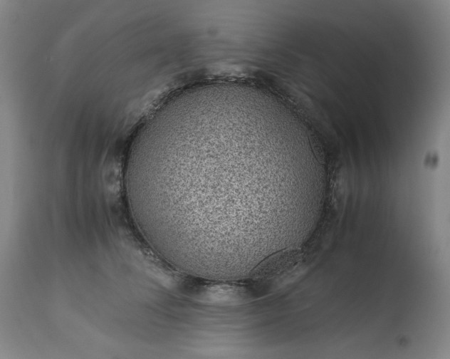 X0000113240708200909241547