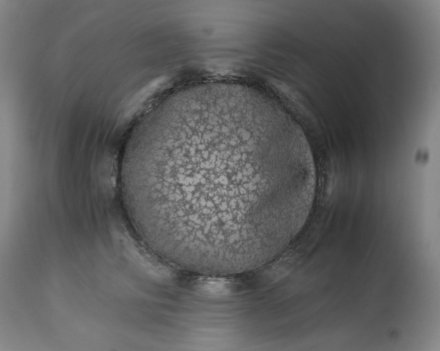 X0000113240710200909241546