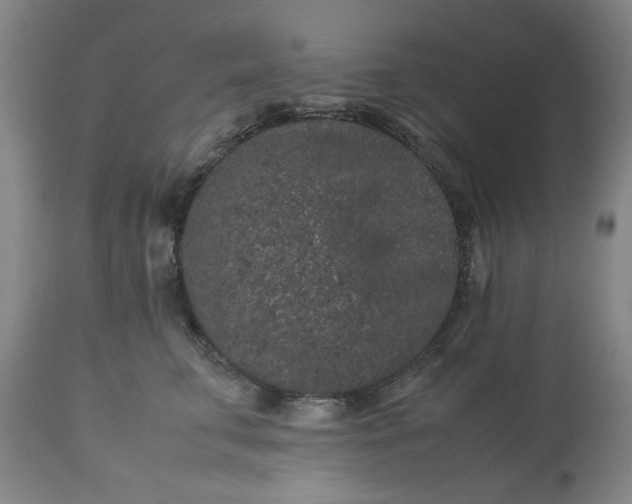 X0000113240711200909241546