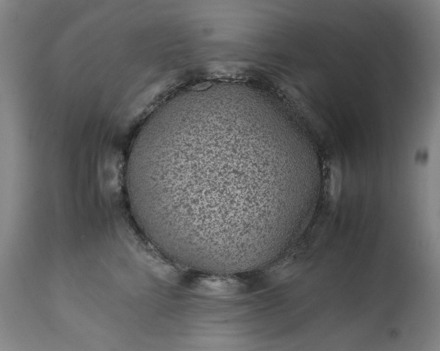 X0000113240712200909241546