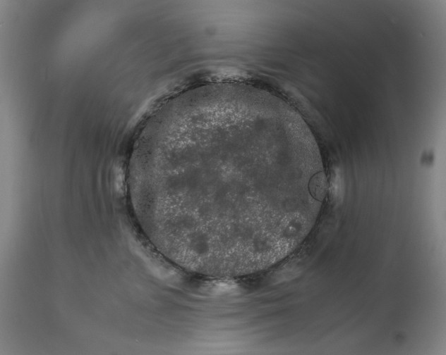 X0000113240715200909241546