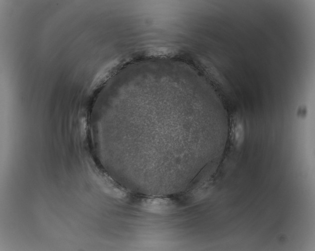 X0000113240716200909241546