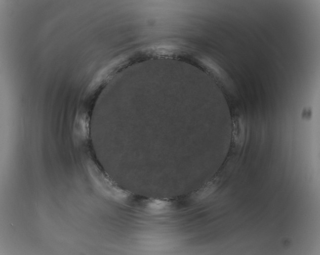 X0000113240718200909241546