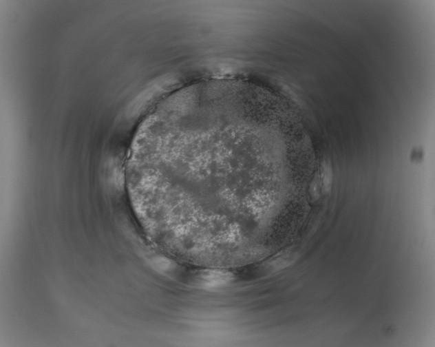 X0000113240719200909241546