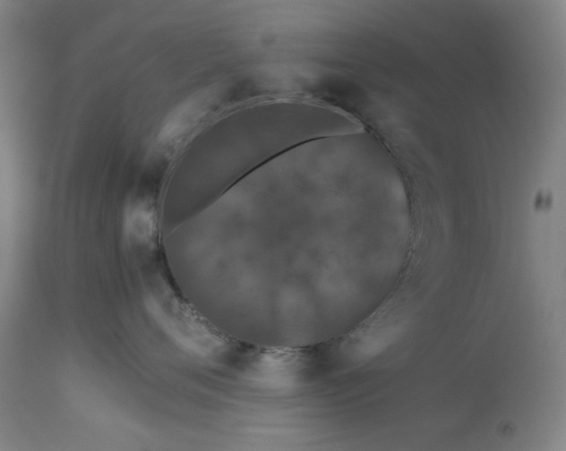 X0000113240720200909241546