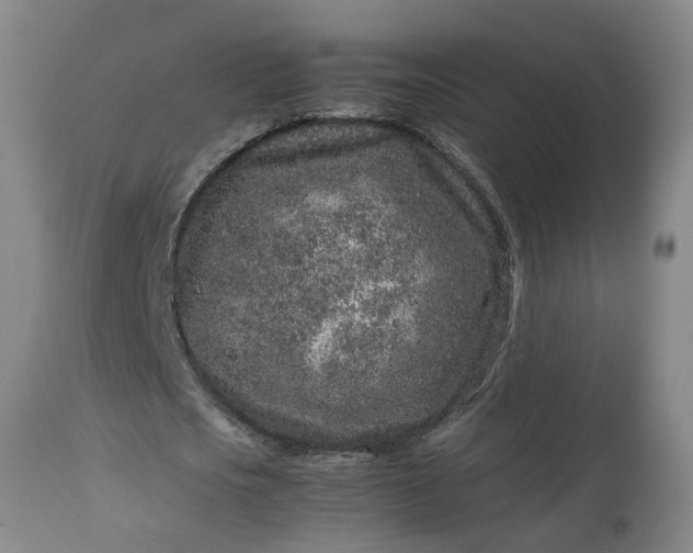 X0000113240721200909241546