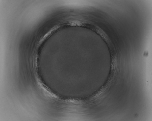 X0000113240722200909241546