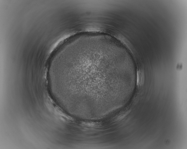 X0000113240723200909241546