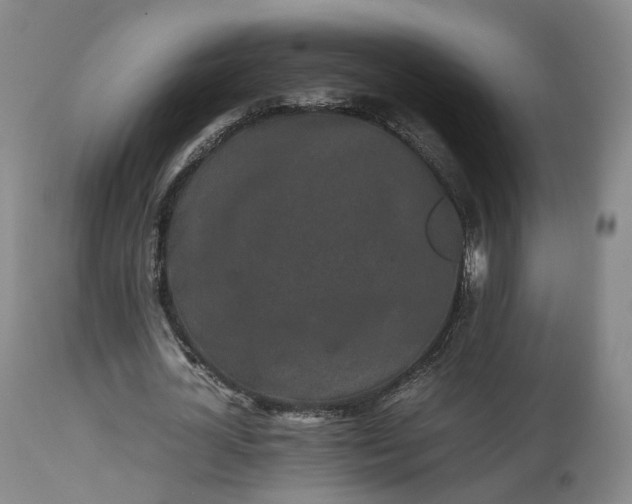 X0000113240724200909241546