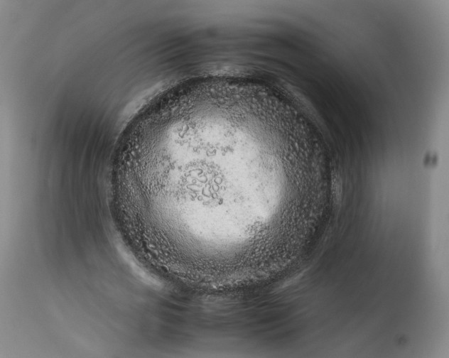 X0000113240725200909241546