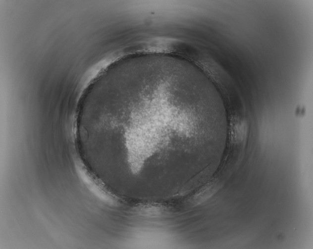 X0000113240726200909241546