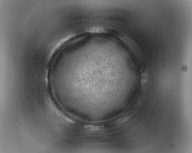 X0000113240727200909241546