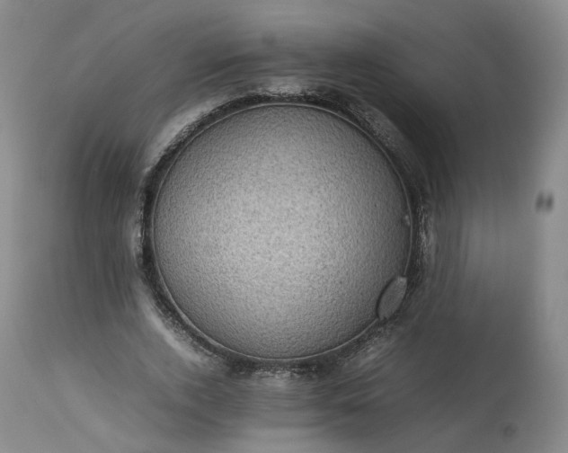 X0000113240728200909241546