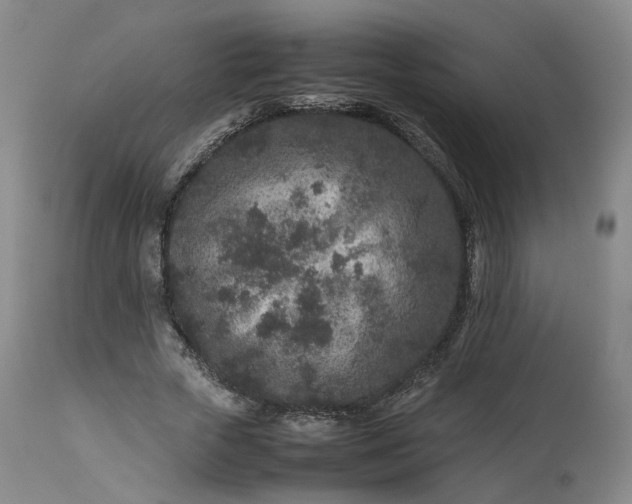 X0000113240729200909241546