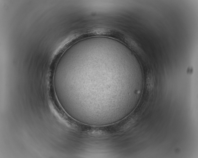 X0000113240730200909241546