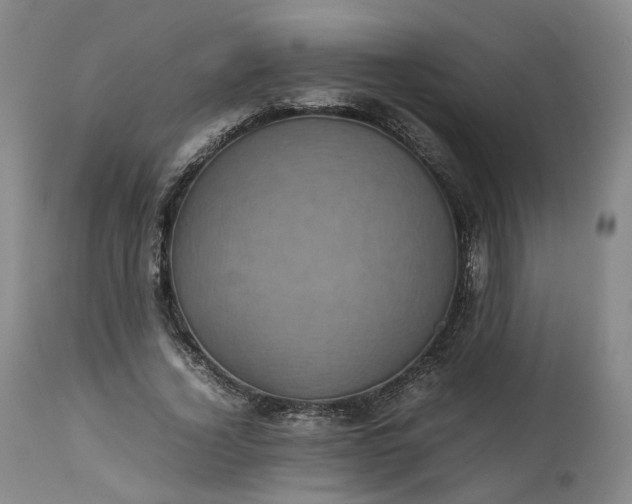 X0000113240732200909241546