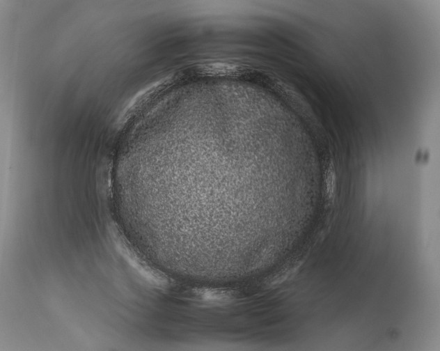 X0000113240733200909241546