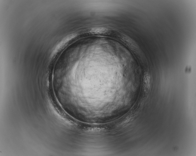 X0000113240734200909241546