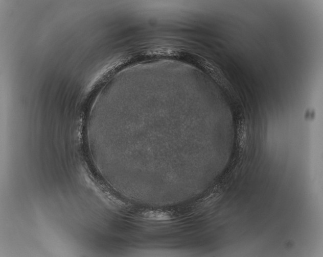 X0000113240735200909241546