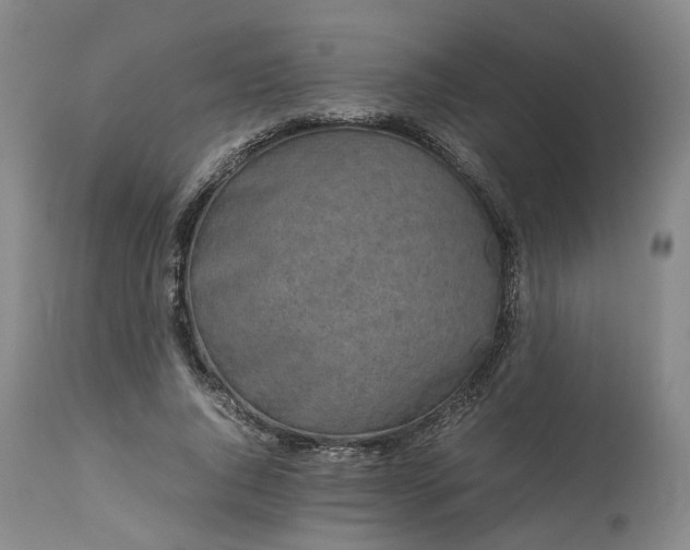 X0000113240736200909241546