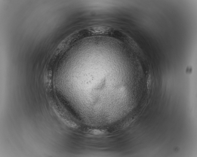 X0000113240737200909241546