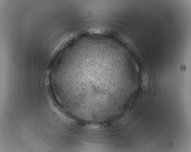 X0000113240738200909241546