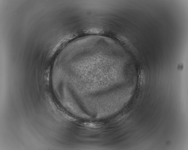 X0000113240739200909241546