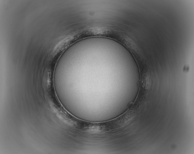 X0000113240740200909241546