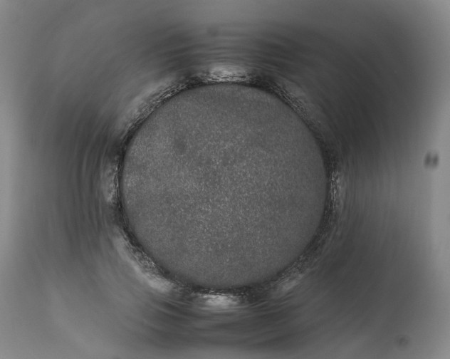 X0000113240741200909241546