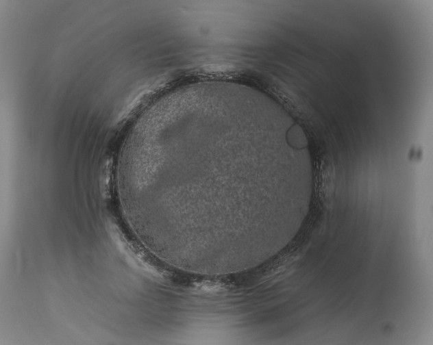 X0000113240742200909241546